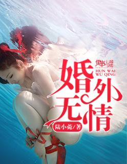 婚外无情劫