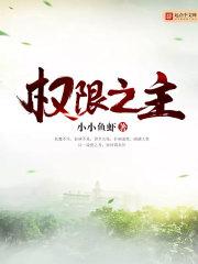主权限制