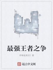 王者之证皮肤