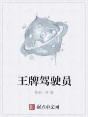 王牌司机