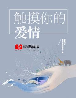 触摸你的灵魂是什么歌