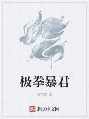 极拳暴君txt电子书