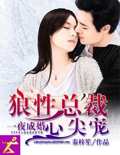 一夜成婚狼性总裁心尖宠 秦梓笙
