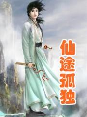 仙路孤途