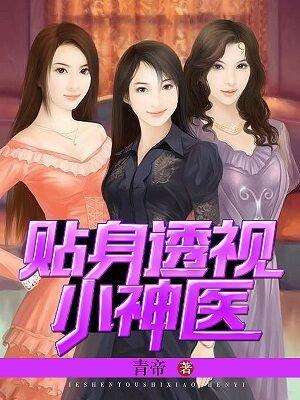 贴身透视医圣苏浩然