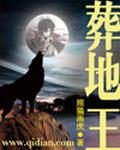 葬地王和石昊什么关系