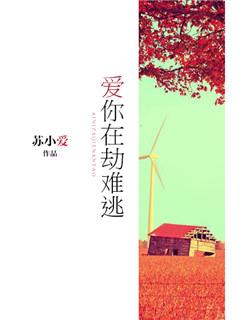 爱你在劫难逃沈沉全文在线阅读无弹窗