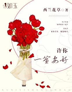 许你一世安笙