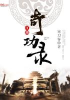 江湖奇功录txt八零