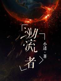 溯流者英语