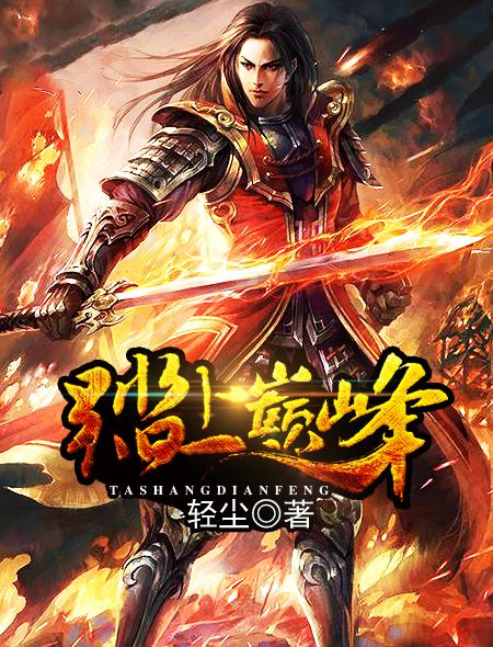 踏上巅峰TXT全集