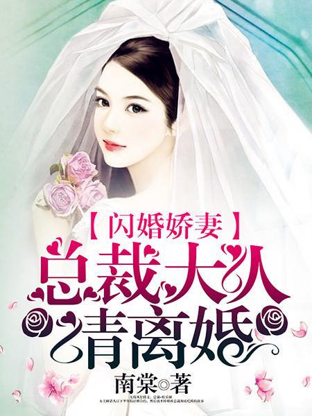闪婚娇妻总裁大人请离婚第80集