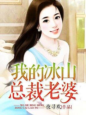 我的冰山的总裁老婆