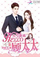 头号新欢hello顾太太免费阅读全文