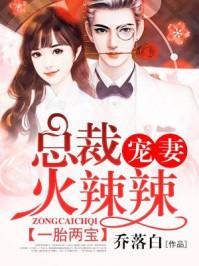一胎两宝总裁宠妻太甜蜜