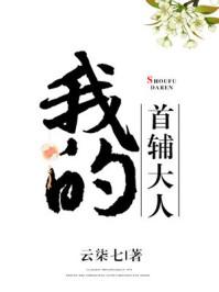 我的首辅大人无错版