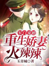 军门宠婚重生娇妻火辣辣玉青城免费