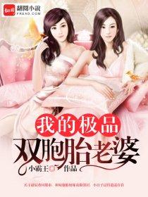 我的极品双胞胎老婆TXT