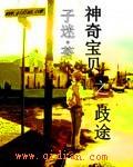 神奇宝贝歧途在线观看