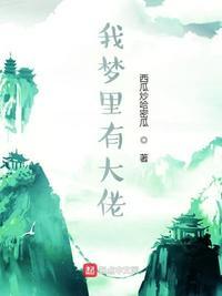 我梦里有大佬类似
