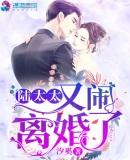 陆太太又闹离婚了 免费