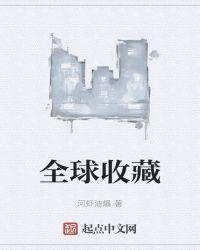 全球收藏家第一名
