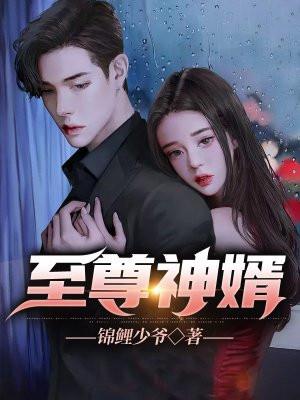 至尊神婿1039章