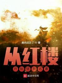 从红楼开始拯救名著精校TXT