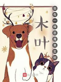 木叶之恶魔果实能力者