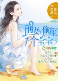 前妻别再婚全文免费阅读