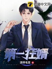 第一狂婿虚无衡