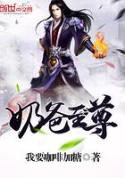 龙皇武神凌云免费阅读