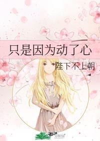 只是因为动了心晋江