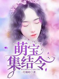 莫晓蝶陆晨旭无窗口阅读