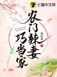 农门辣妻巧当家有声