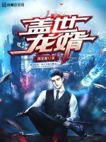 盖世龙婿后续