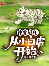 从小白虎开始免费
