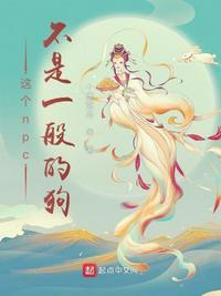 这个npc是我的