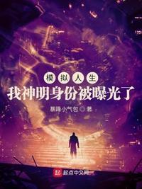 模拟人生者