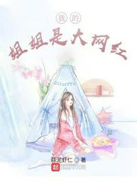 我的姐姐是大明星笔趣岛