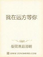 远方想你是什么歌
