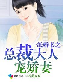 一纸婚书之总裁大人宠娇妻 若薇夏夏