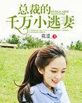 总裁小逃妻 于紫阳