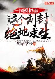 模拟器 三国