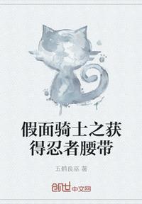 假面骑士腰带