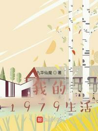 我的1979讲的什么