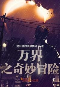 万界之奇书