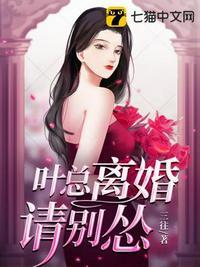 总裁请离婚叶无双