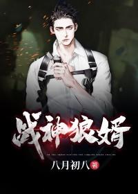 神龙佳婿叶新 了