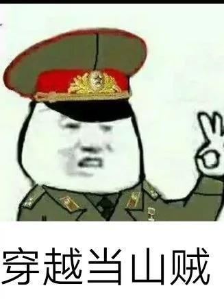 穿越当山贼虾仁的